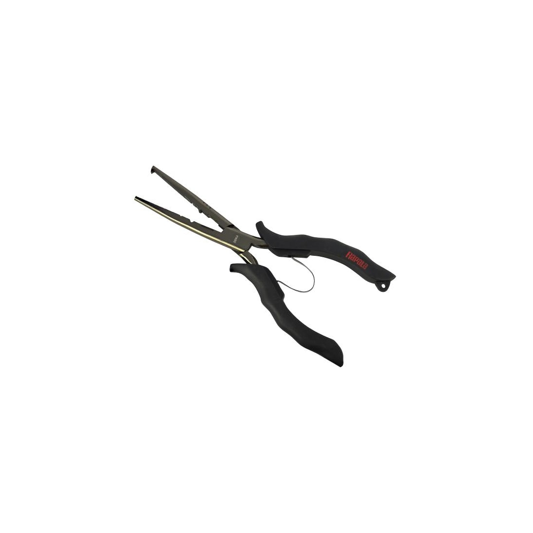 image_8a2f2f23-419f-438e-8e9d-bd12e73f8bae