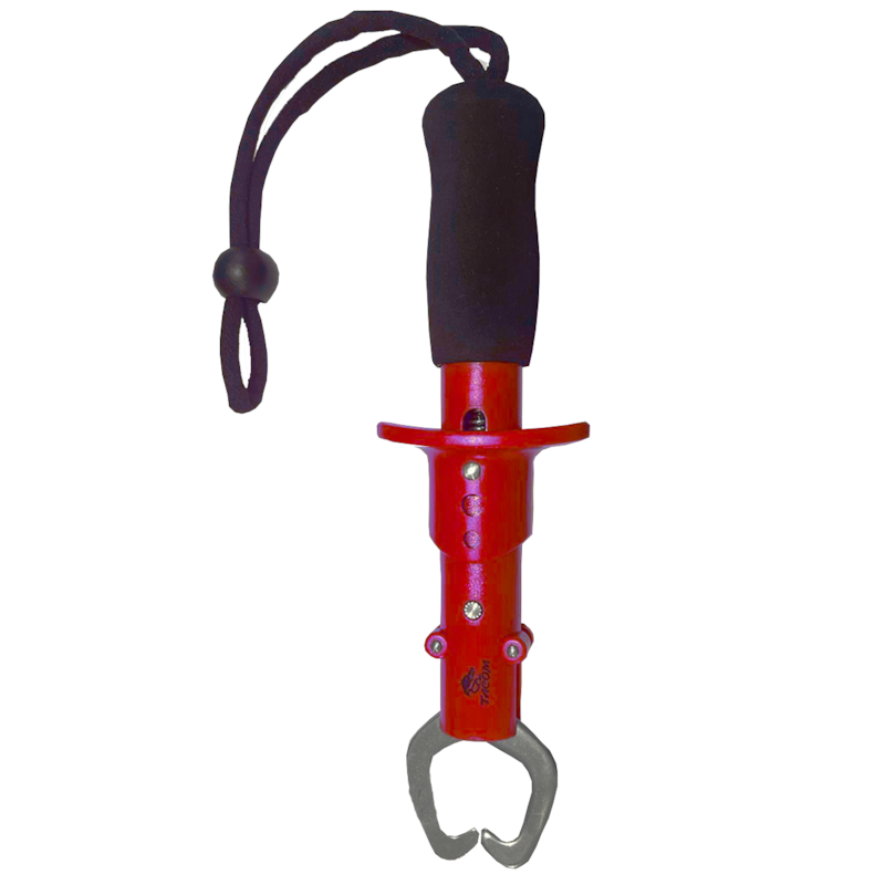 image_0a8e5f79-2fb3-4e22-91b7-0fe6da00e3bb