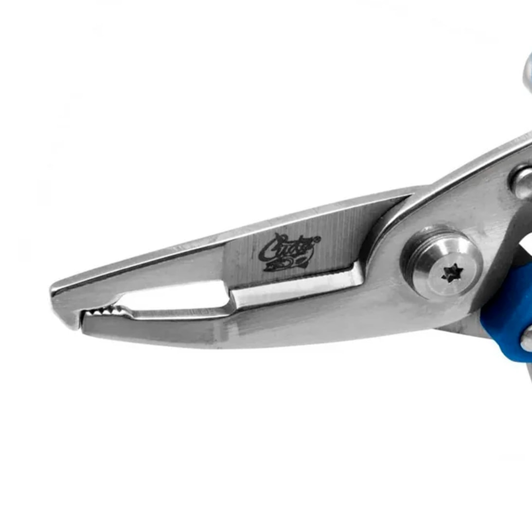 image_c5fa92d2-45f3-4aad-89c7-d6cf7382be96