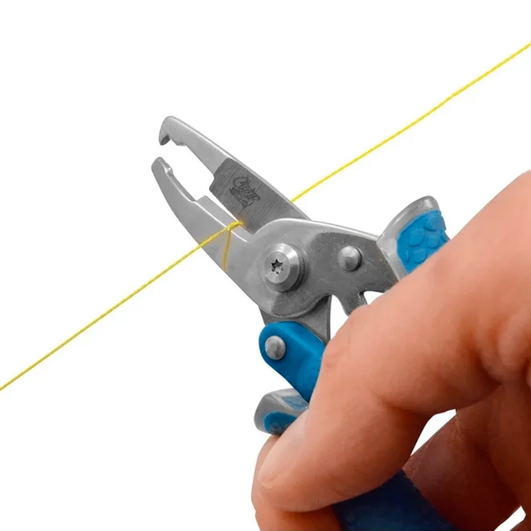 image_27e20577-e178-4f8f-89af-bb1916f1224c