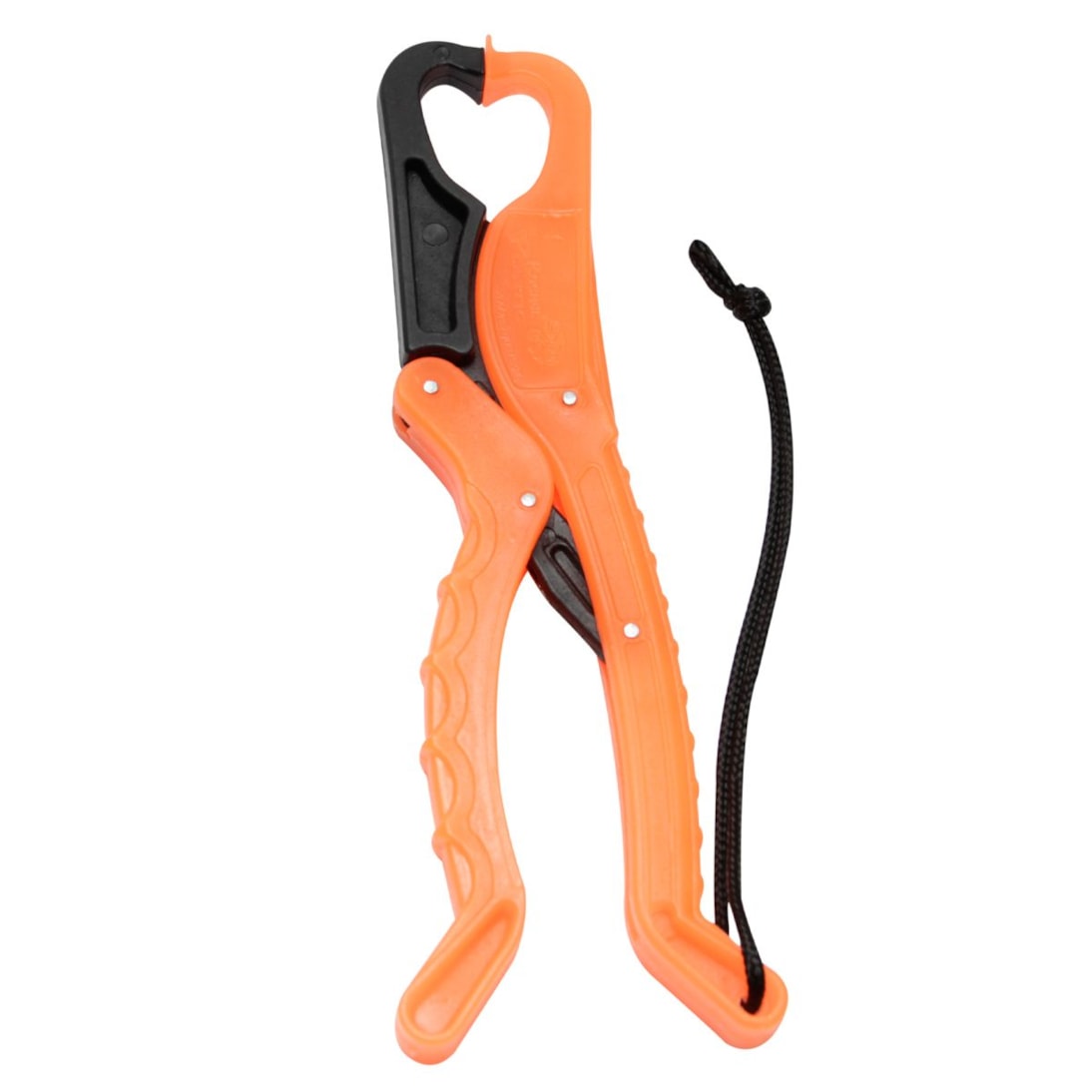 image_74f1b2eb-0ca7-4a83-9361-ed479727ad6e