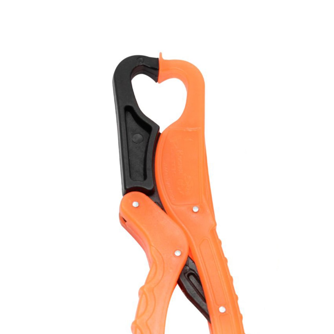 image_a0f312d9-221c-4e4c-8fda-dcf1b0de9126