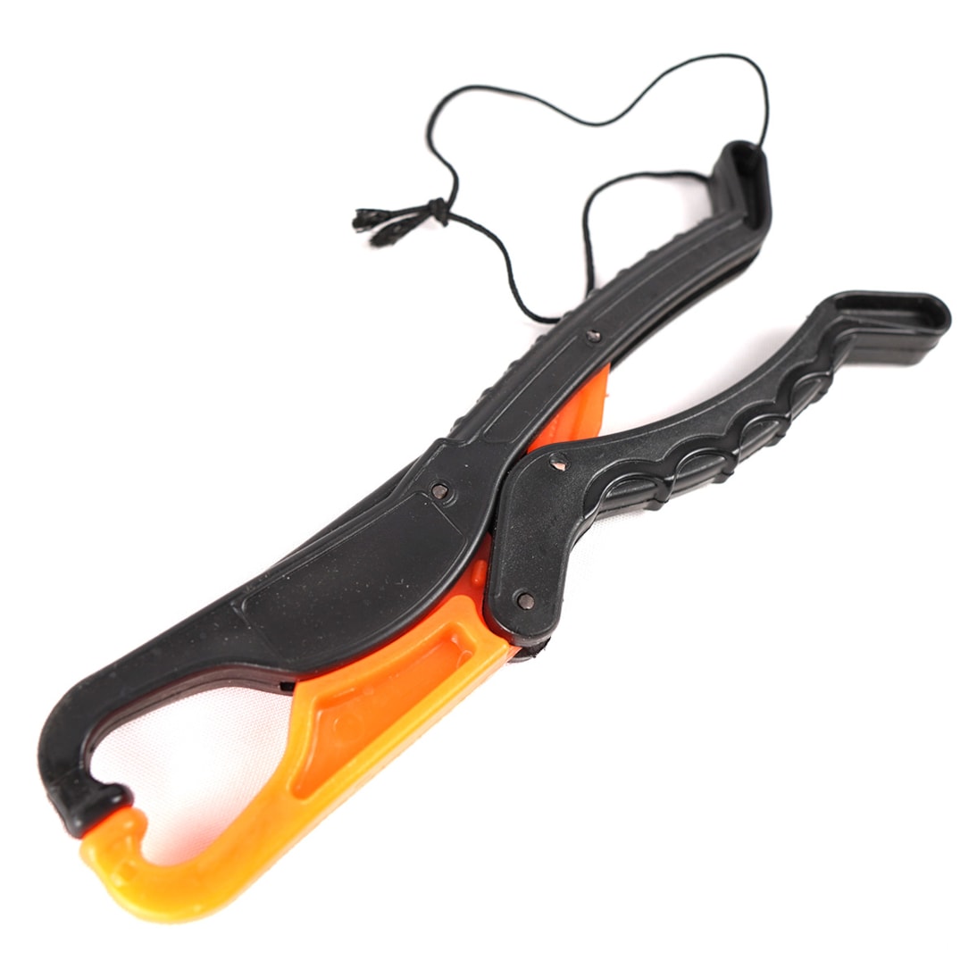 image_ca028258-21bd-4f46-a2b1-7e410493593c