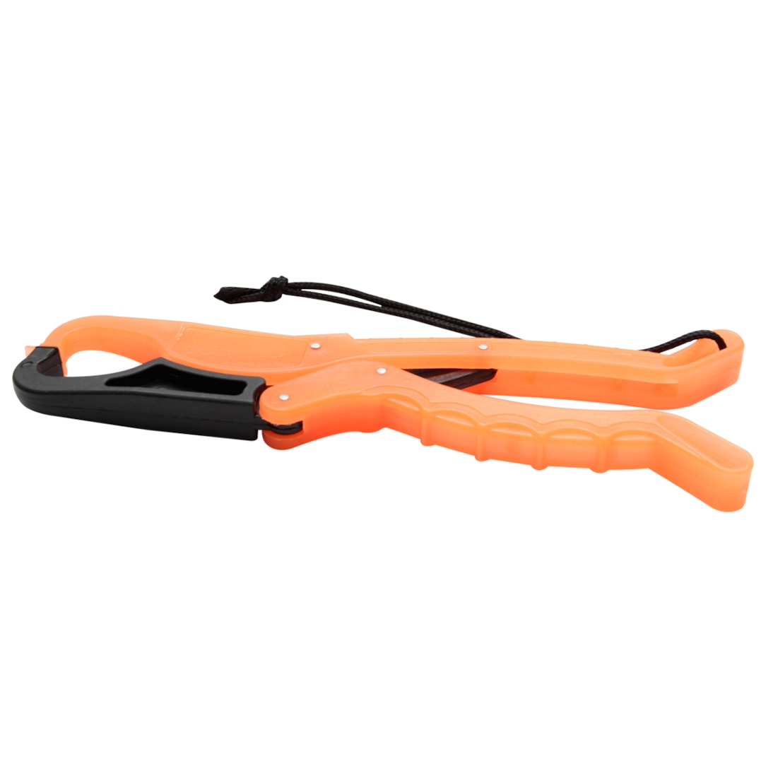 image_aed3478c-04ca-43d6-b062-d3eb90bc698b