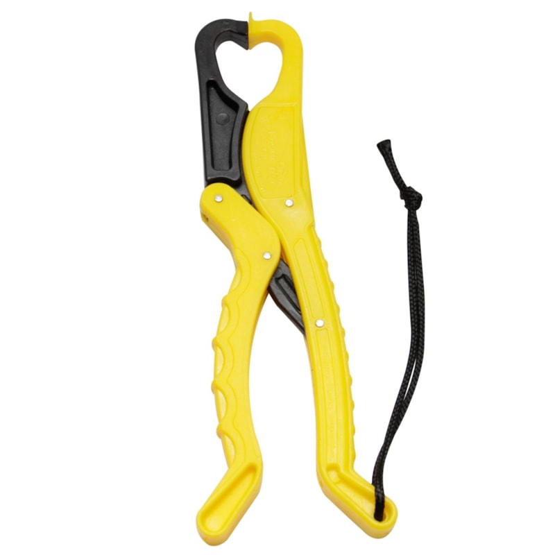 image_89f889ce-3b6e-47df-91b6-0965cbe7d079