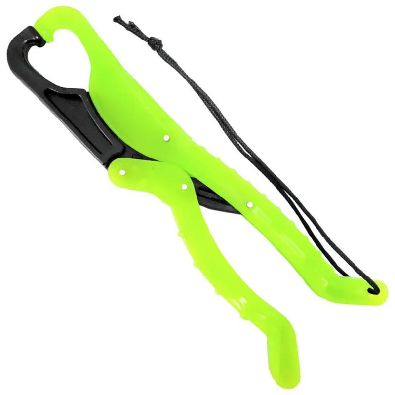 image_6ebfd685-1e91-421e-9679-e5a6262b8614