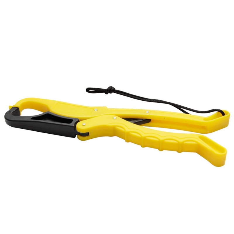 image_1dc4a7df-7bf9-4cc2-a8fb-0bf34e41b831