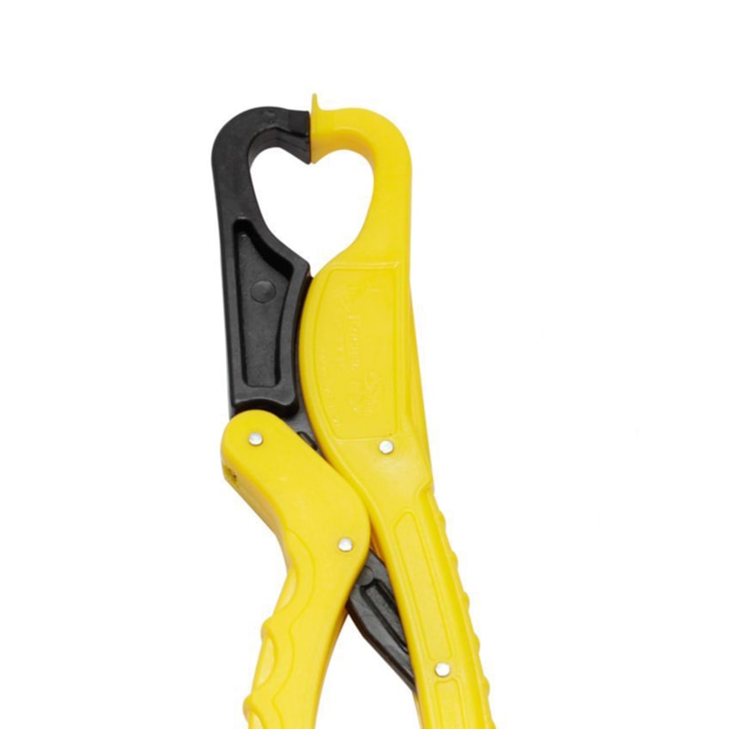 image_bf2d845f-96a0-41f1-a27d-3d249e65d261