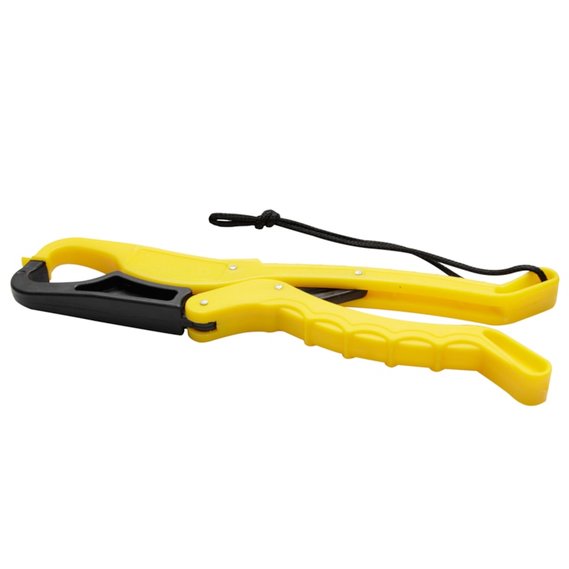 image_82438273-a361-49e4-94e2-54ffc79b80a1