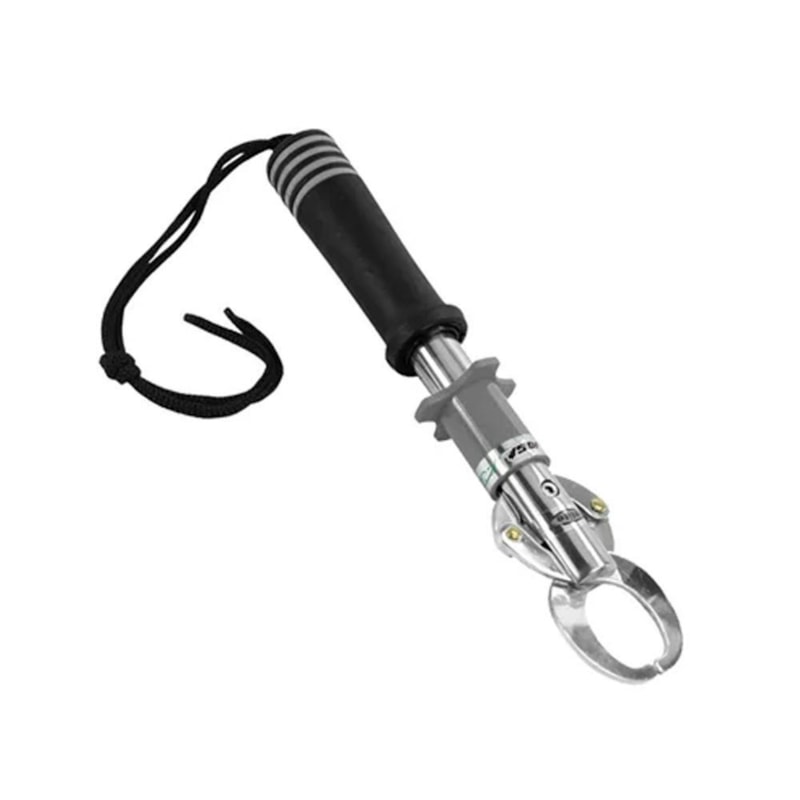 image_d69c24ce-815e-4ad9-845b-a8fa9443b14f