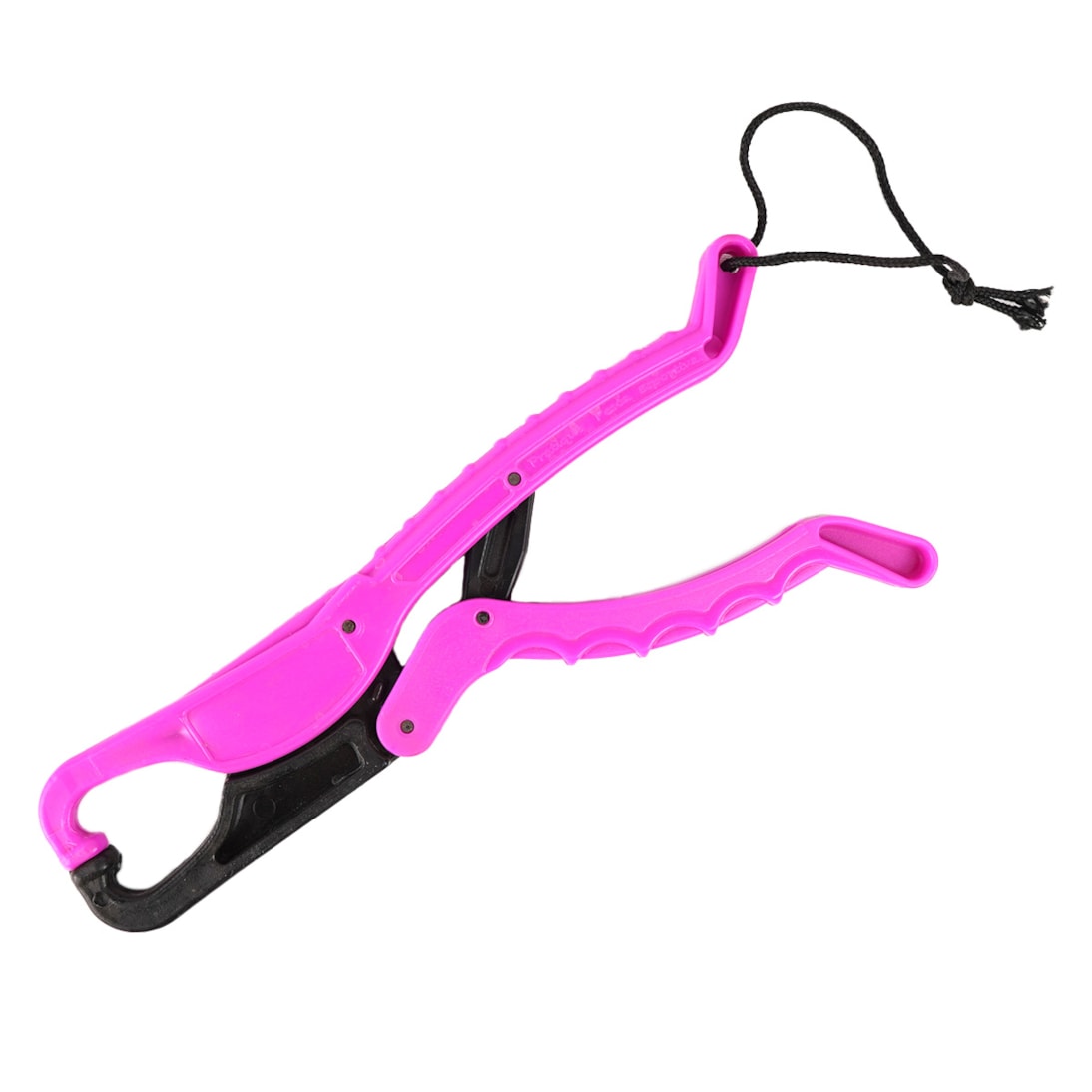 image_7a64206e-6aa5-4674-9e6d-3c1b639b0ae3