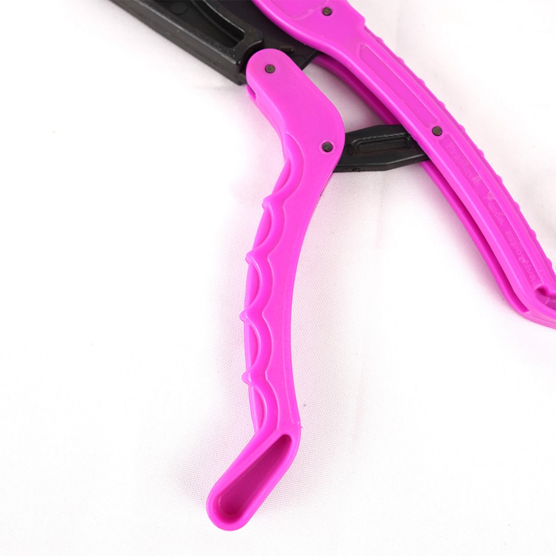 image_f181972c-6116-409d-87d4-9a081ce0ef48