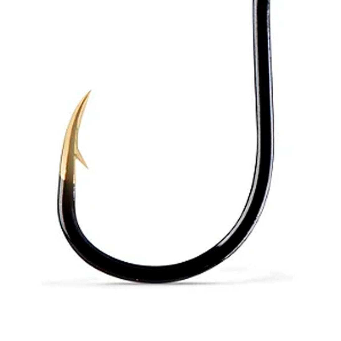 image_fdd70ae3-7ab2-4f9b-b067-10f4fc5b837f