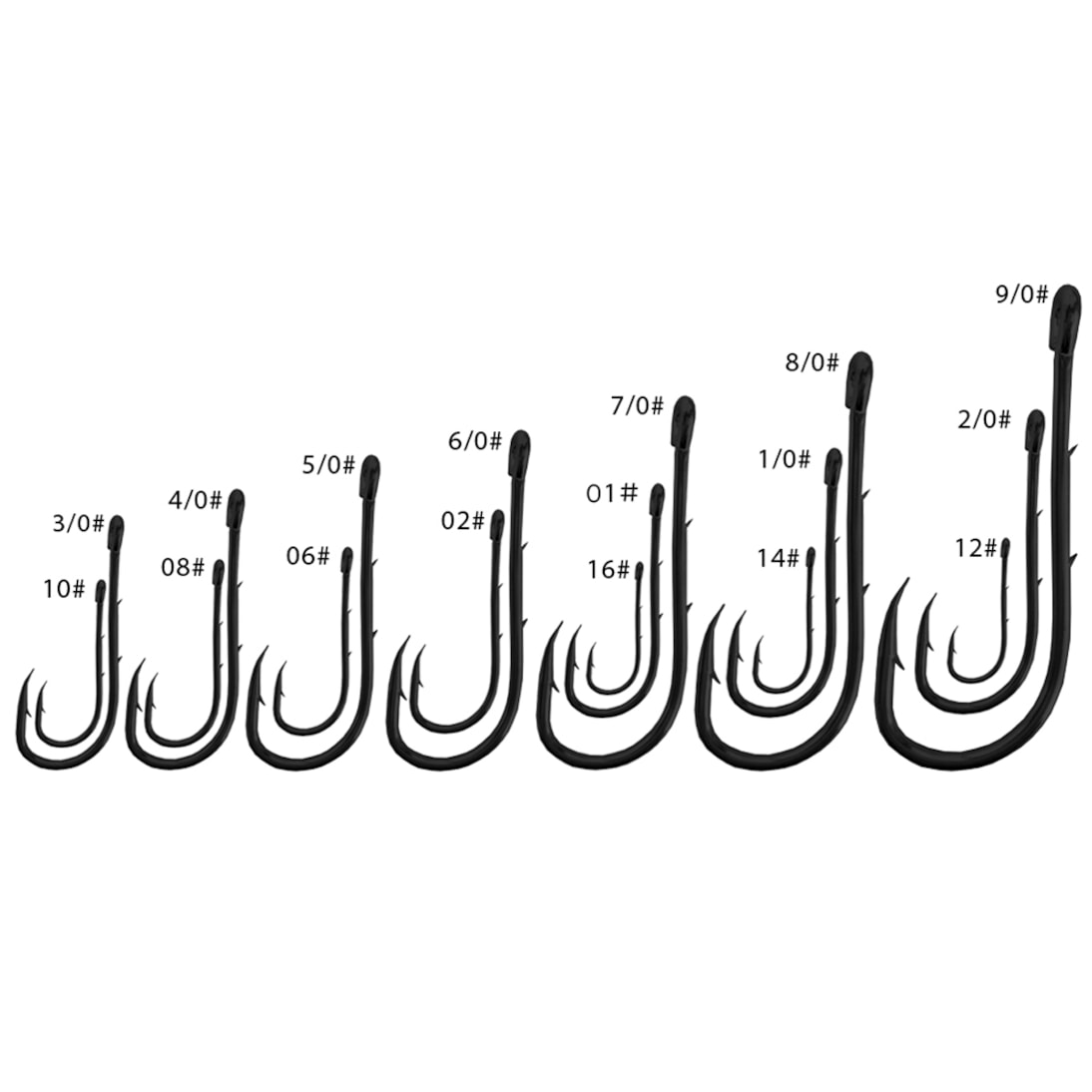 image_ae206898-6089-4687-963d-94dfd304e58d