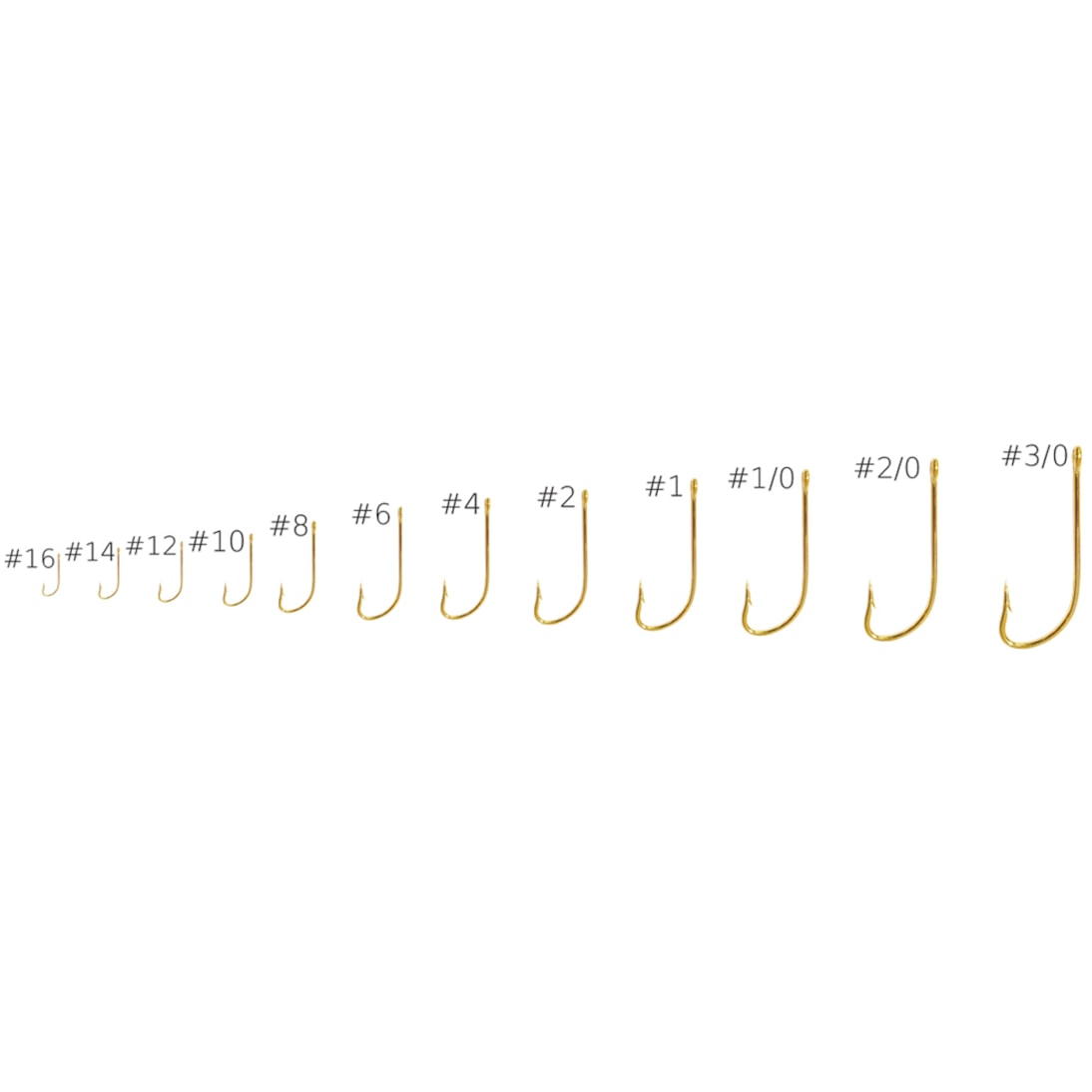 image_359ea9ed-cf82-4aeb-bc14-9400b7426ce5