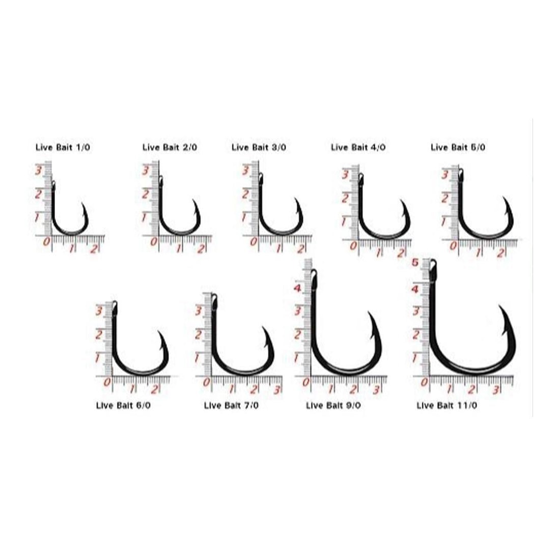 image_67c64b1a-83aa-4897-a699-67406f3351d7