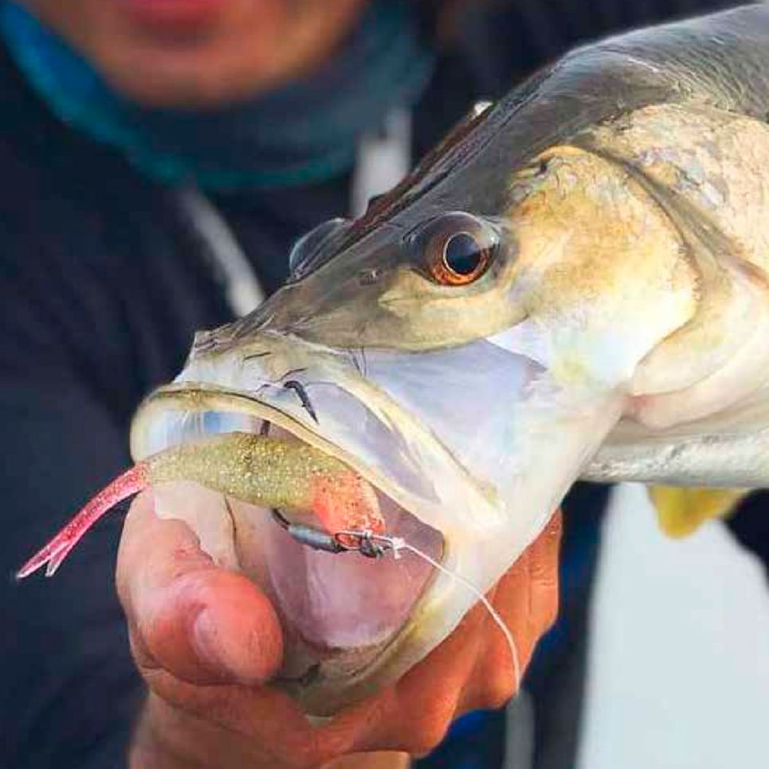 image_c280c1d1-311e-49e3-94fe-0c8cef8600c1