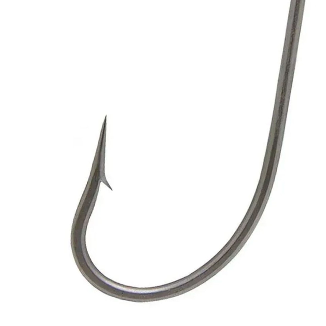 image_f86fc154-5bfa-4527-b964-f913d7e935d5