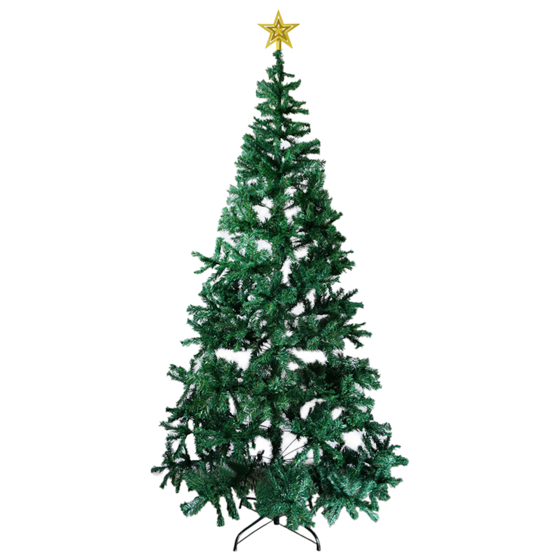 image_39b6ccc1-8603-4221-a849-180cb4c25518