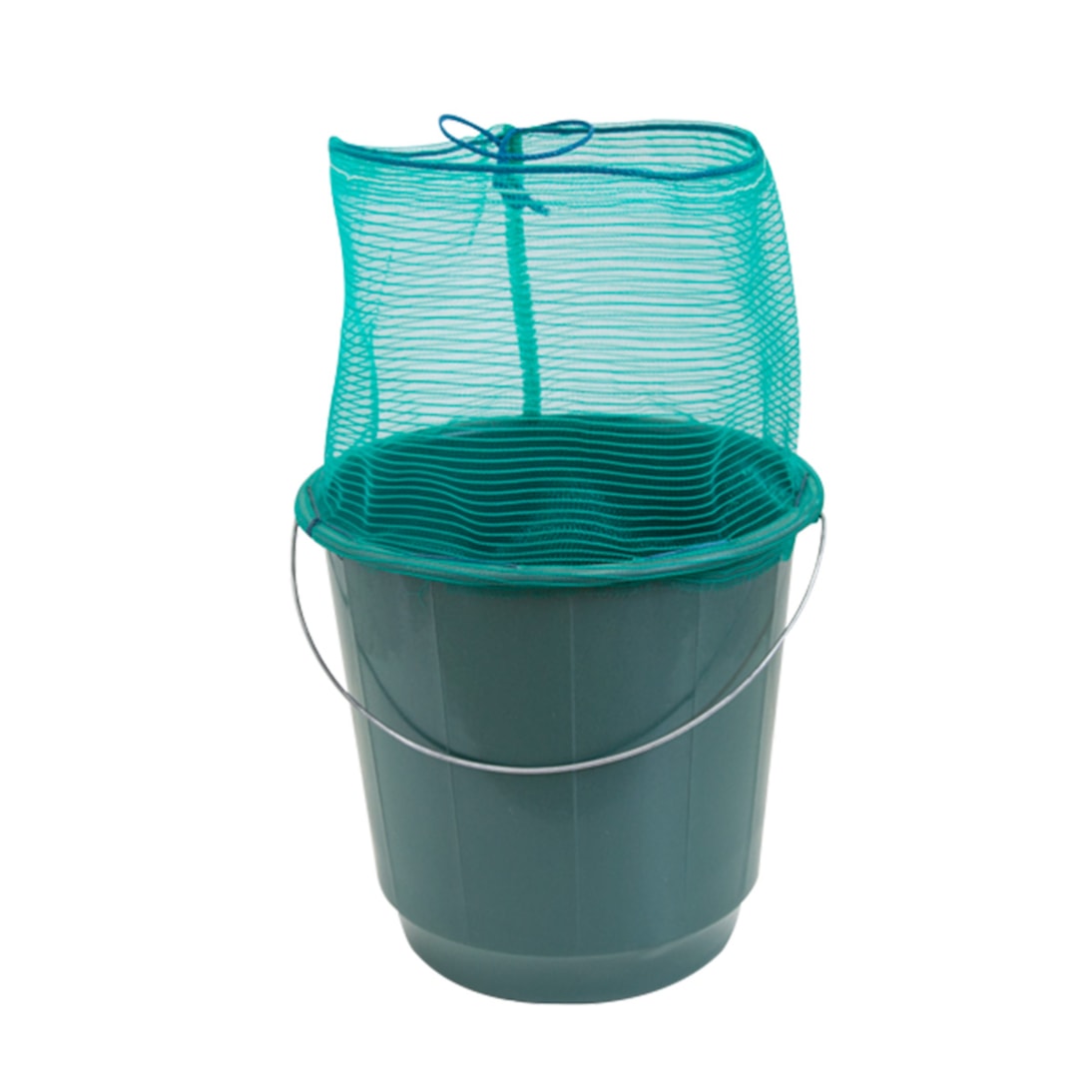 image_bc0e468c-f8f1-4604-94a6-47ecf7befa9f