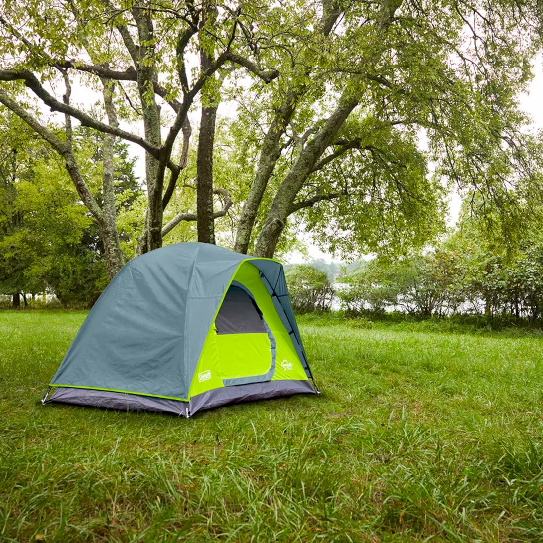 image_13bc7d2b-a19b-4fbc-b561-4f1badc81ff5