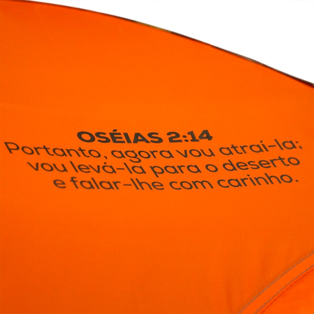 image_2ab870f0-f268-4cba-990a-74b553b54b39