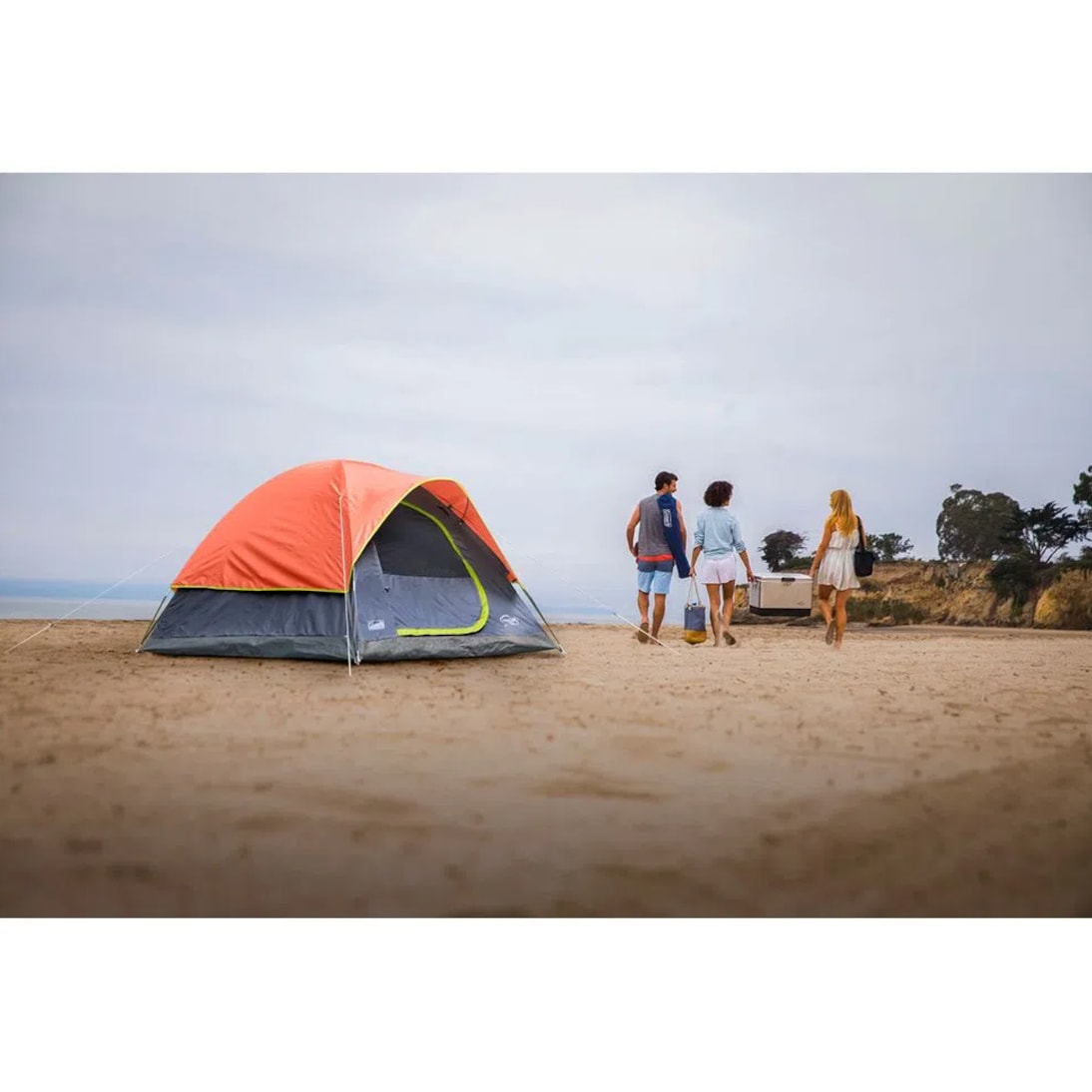 image_c589a1e5-3e13-436a-a17c-3a0855f2e34f