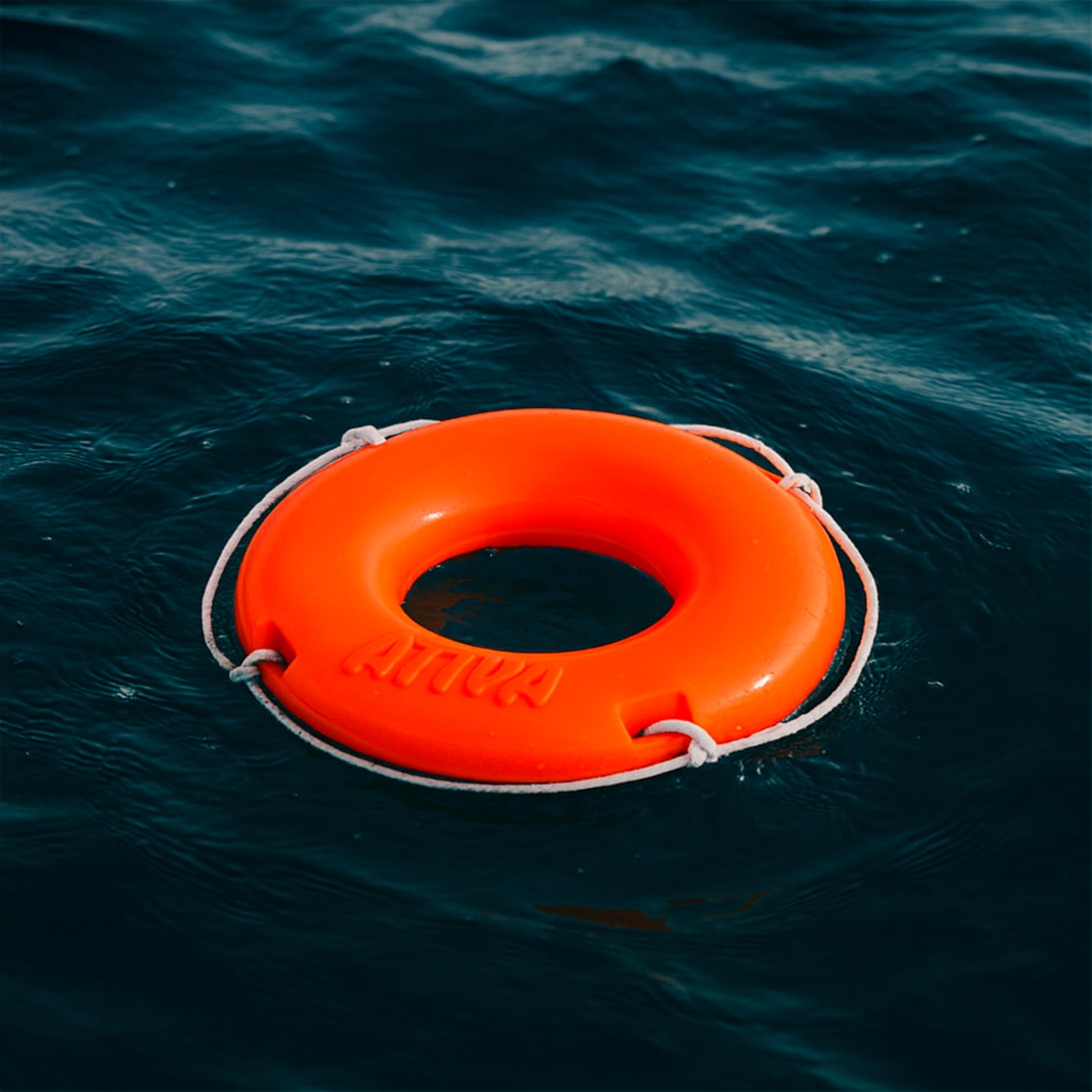 image_71256af3-27c3-4889-9aa0-e5a2784ecf9d