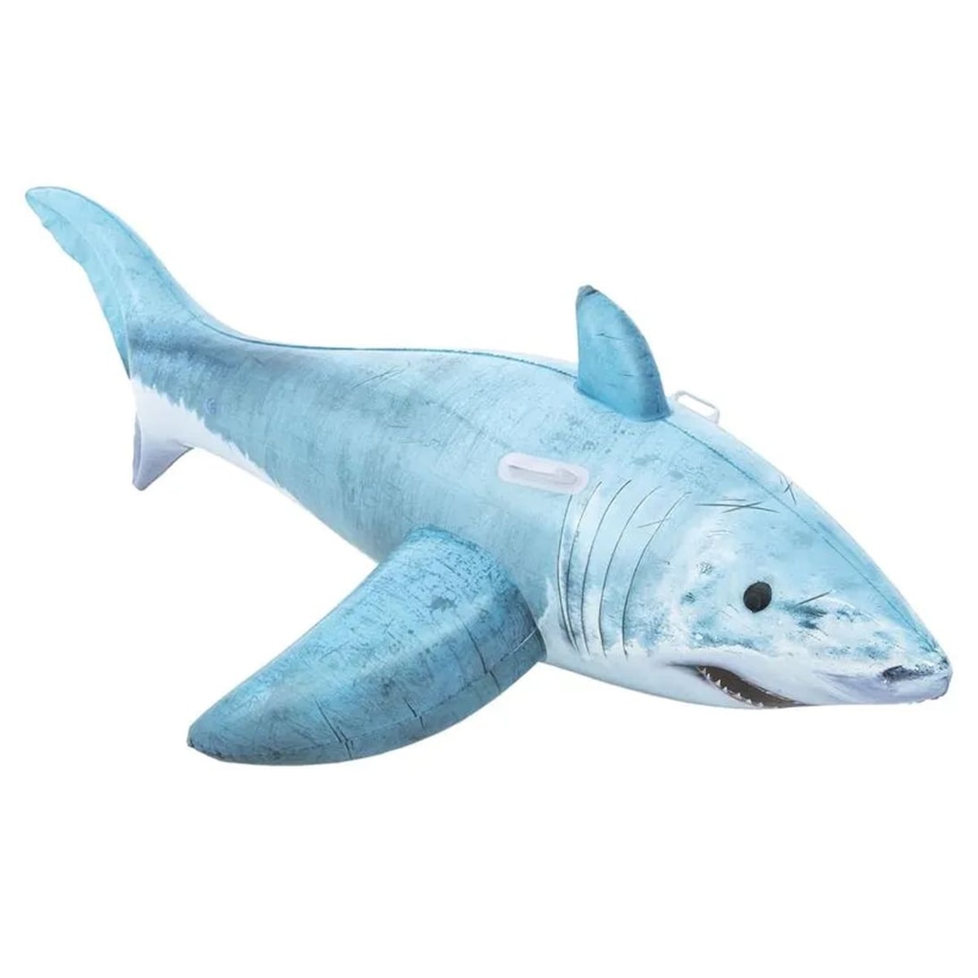 image_ada43d71-e21b-49ce-9f58-7fe5cd77199e