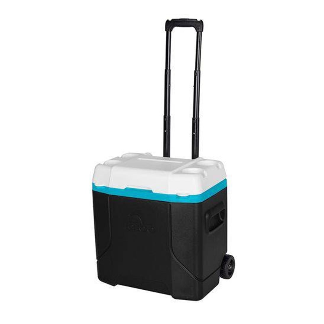 image_0f3948e4-9e15-45d6-b9d1-1ddf07837f68