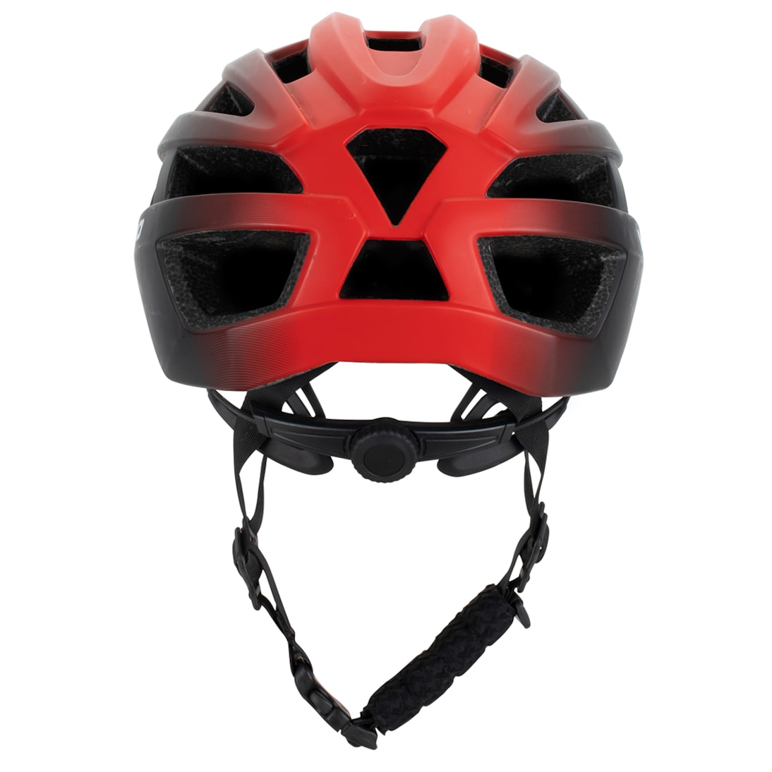 image_831cd056-6e78-4ad1-9fbd-3aa2476697af