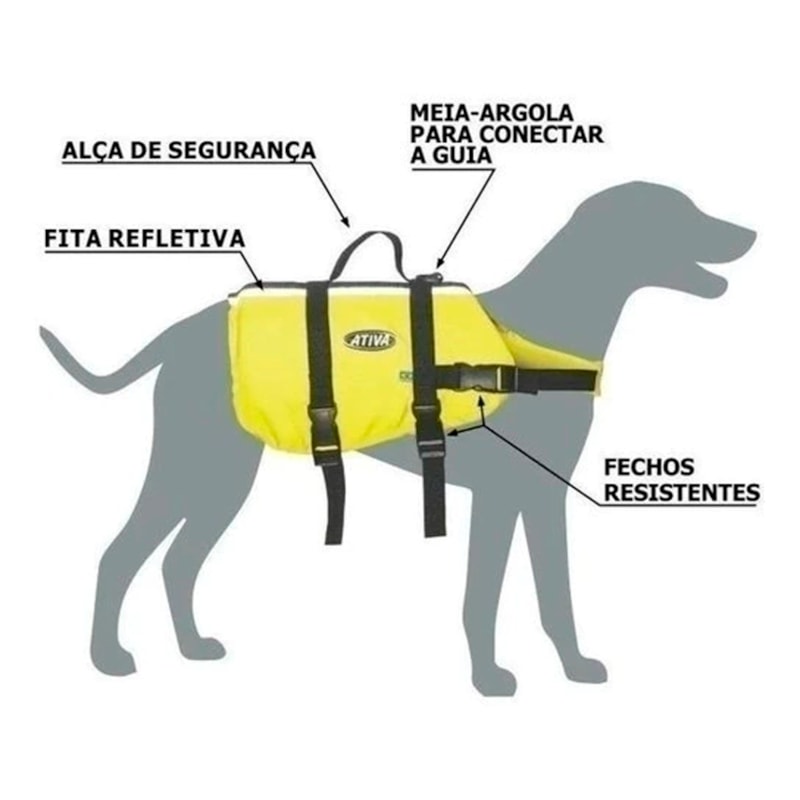 image_bbee23c1-fcdb-46b0-aa8c-9c9c0c758bbe