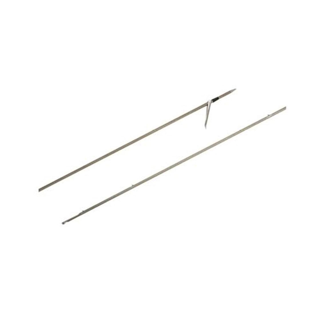 image_67a75ae0-e37d-4385-8edf-c81981d93fb0