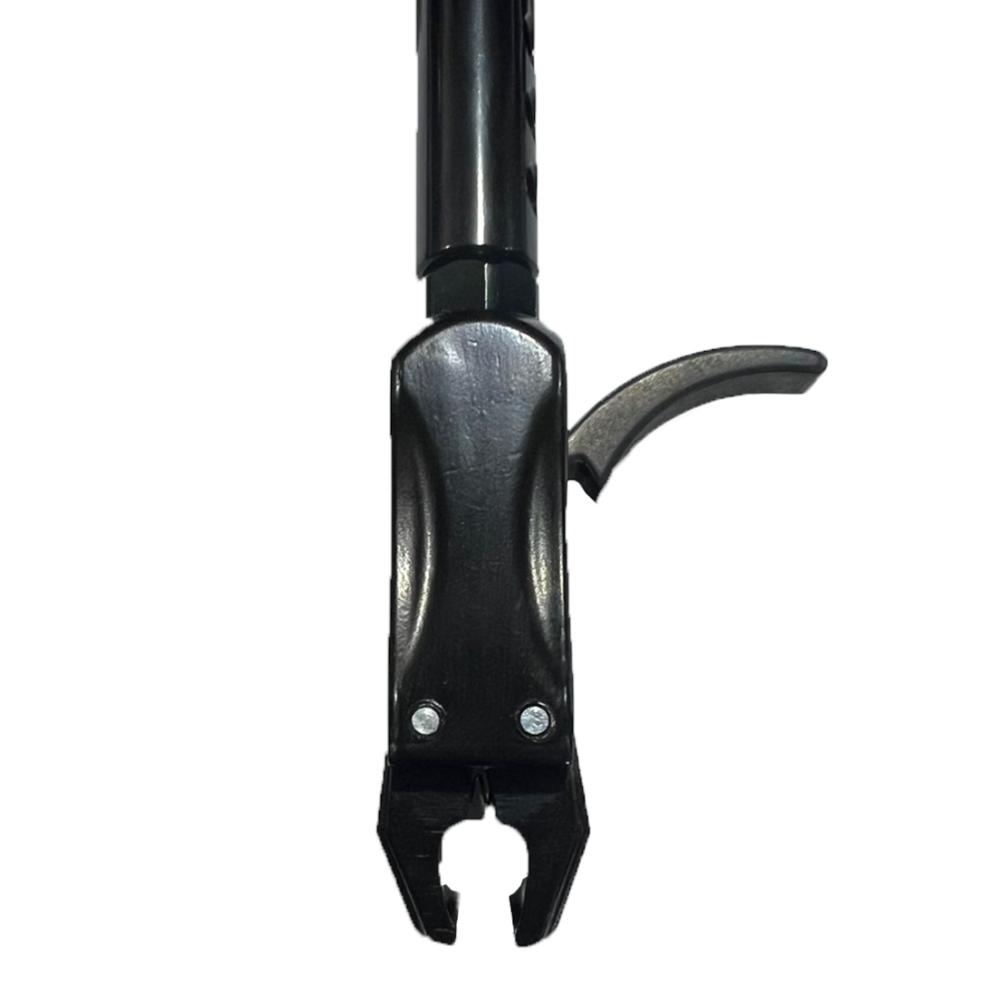 image_cc3959f6-2a1d-4f0a-80b5-f0066d7168ca