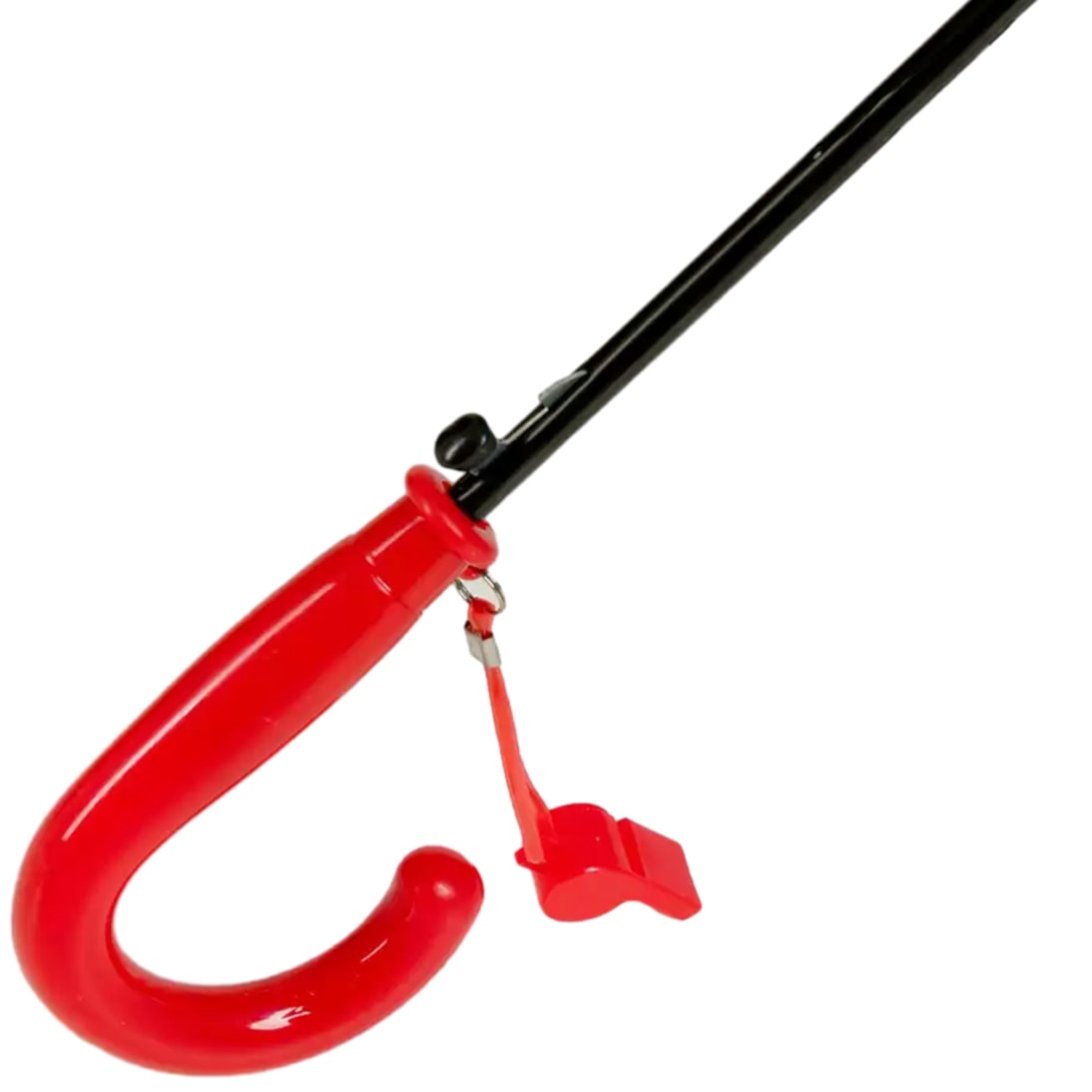 image_36eda2ea-06c4-4636-932a-21ea63f61c93