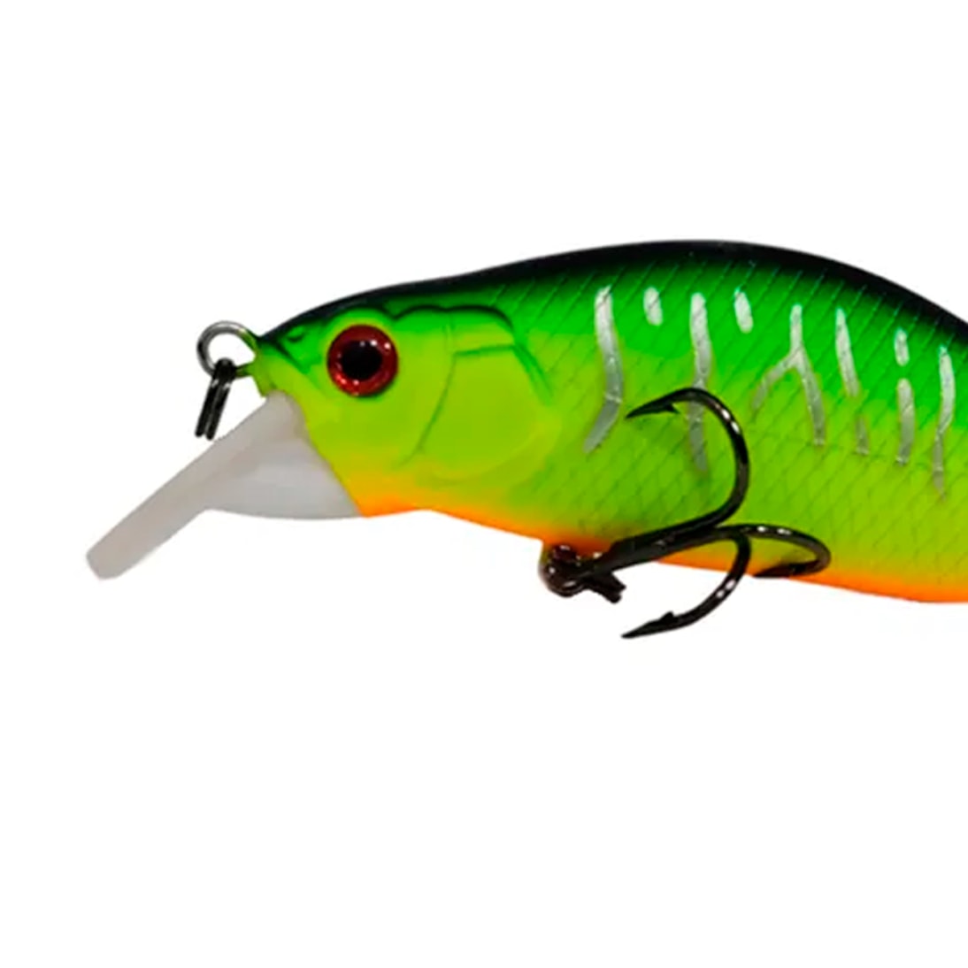 image_cb107ab8-afcc-436e-8070-6f9ecc357640