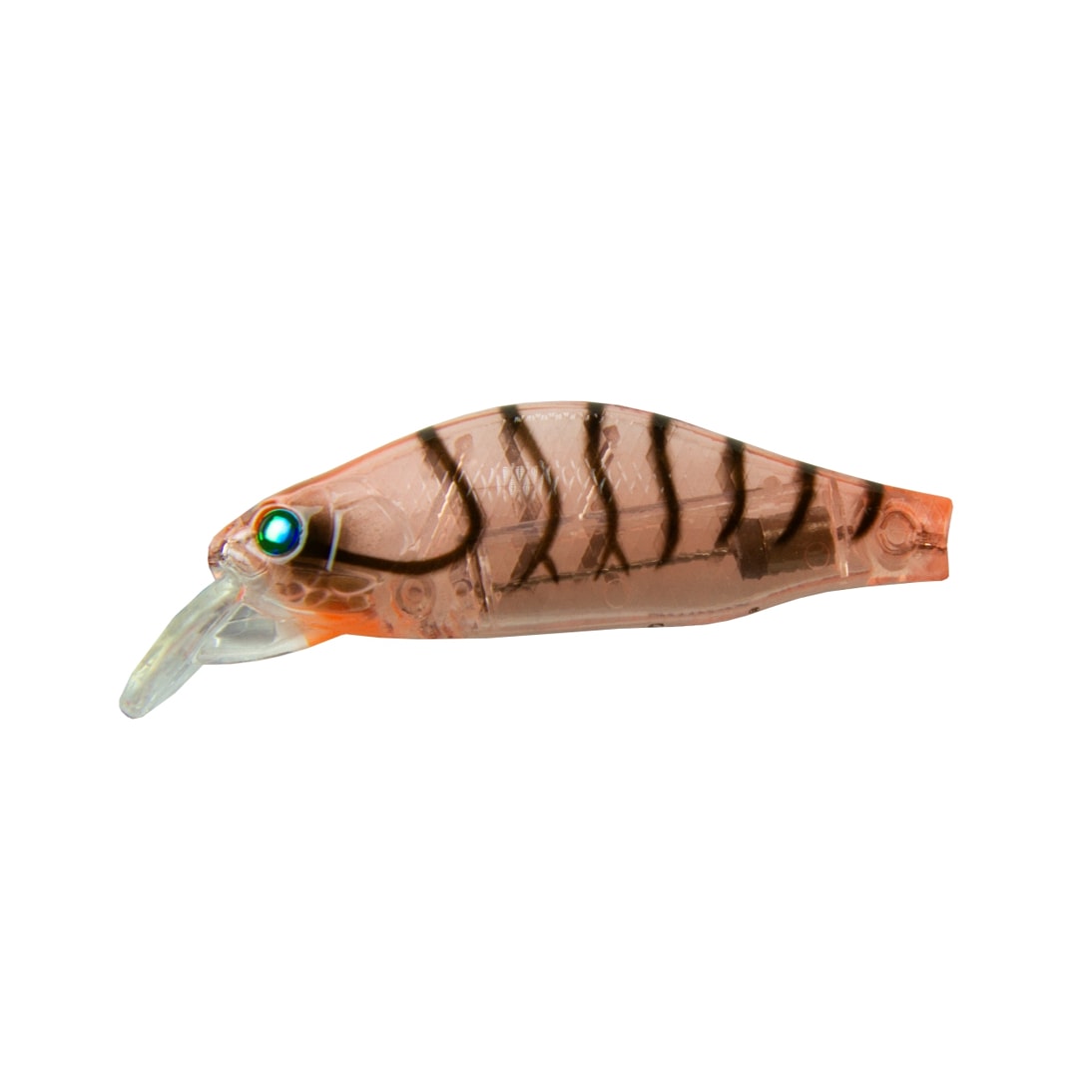 image_42feb9e8-d4cb-45eb-ab27-0fbc775e150b