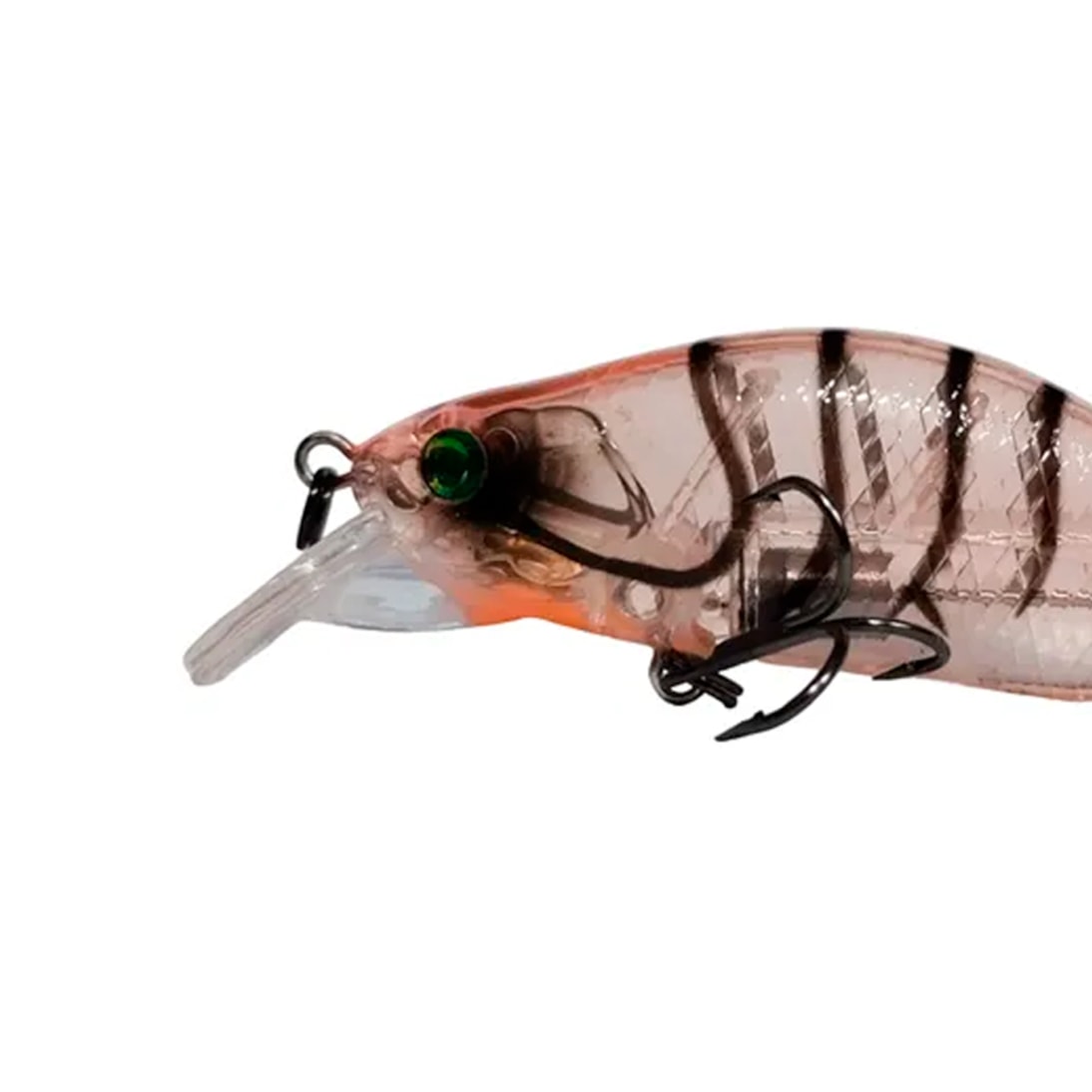 image_f233d7c7-da84-4e01-93ba-f920ba812275