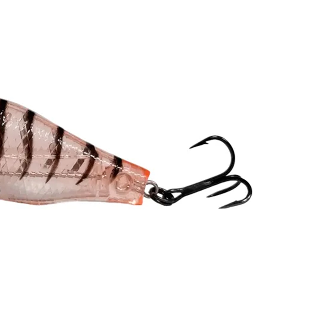 image_a861cb9d-8e87-4ac3-8714-a403ccfaa248