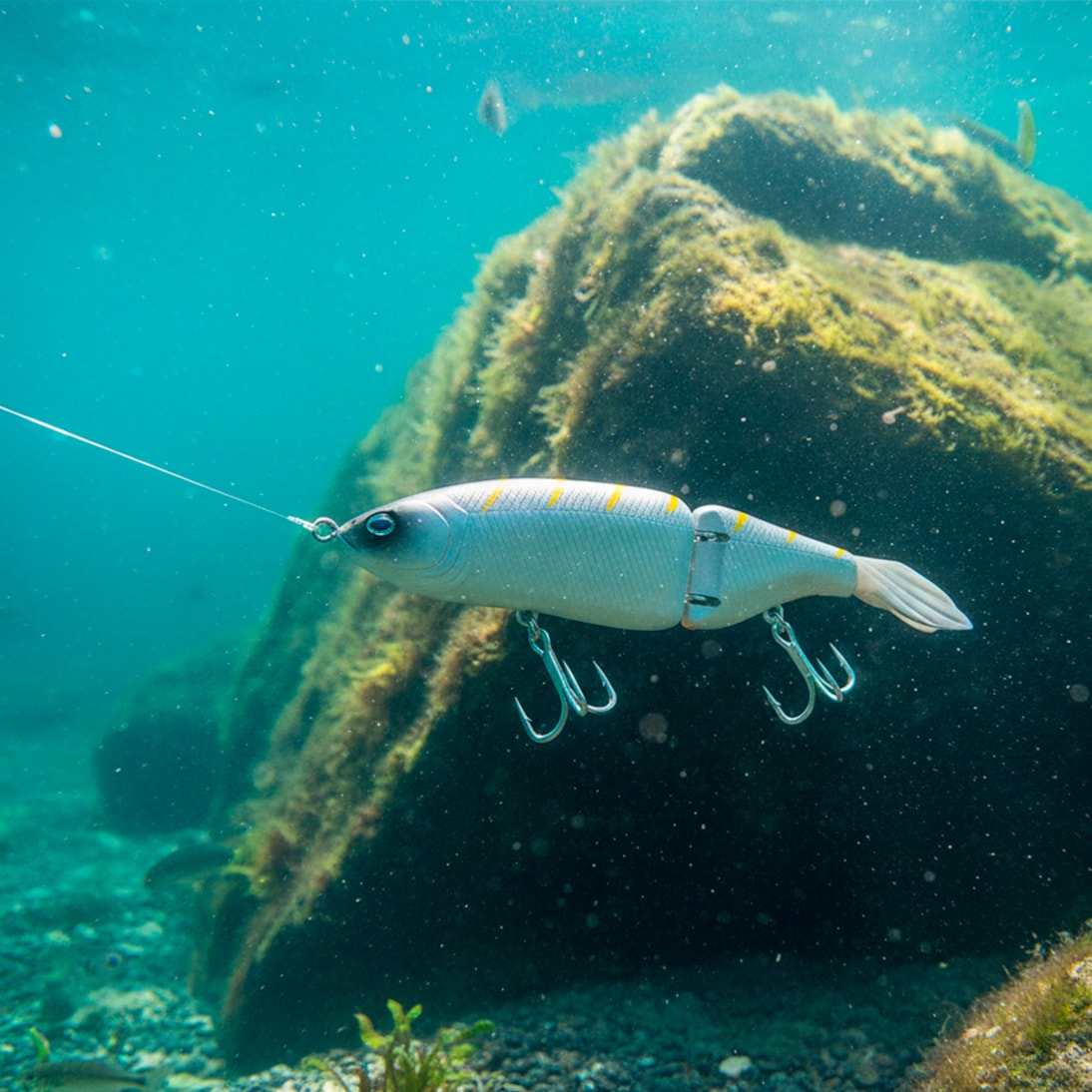 image_095692dd-dc13-40cc-9483-640a799026ab