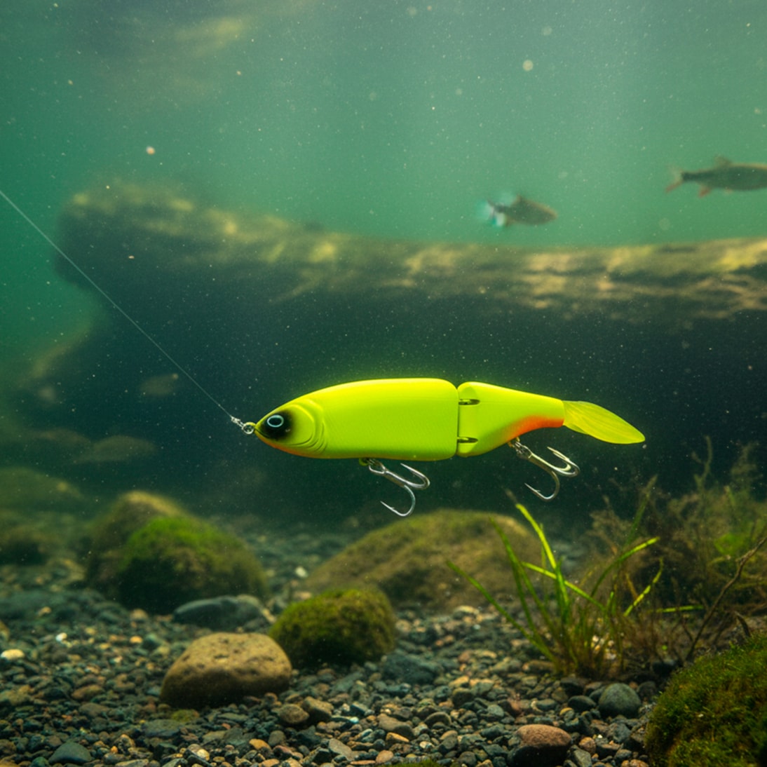 image_2ceaf011-1c0b-4454-a1c4-f8abc5040dbf