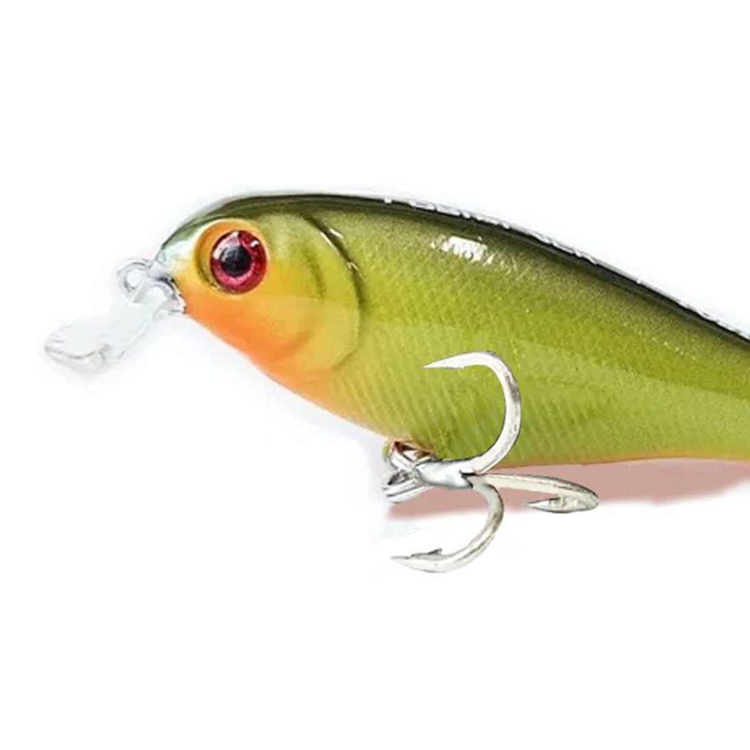 image_e3e900df-5ac2-476c-bc44-b07f14e31d5a