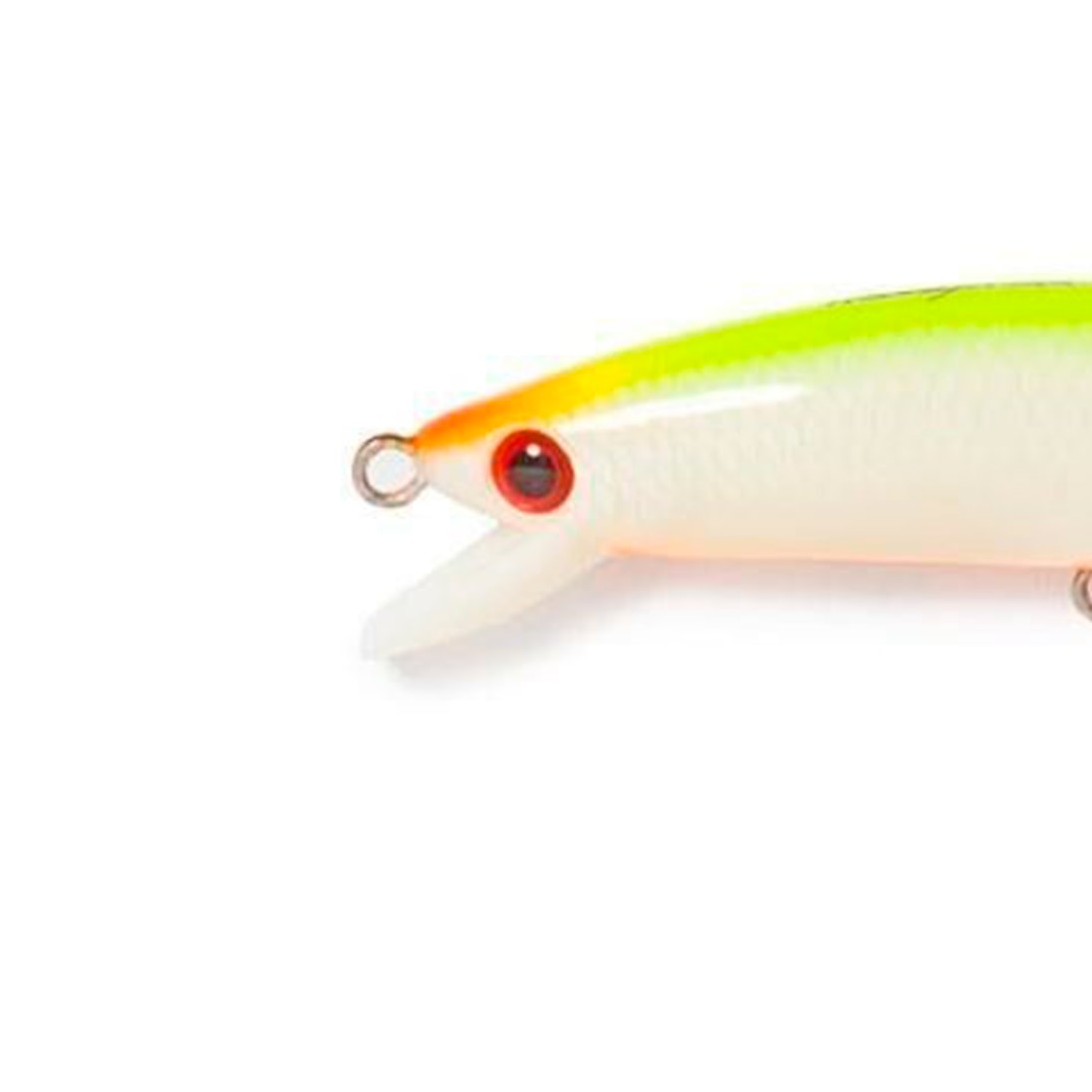 image_1b71f015-8c66-4f13-bda0-15a46ebd51e6