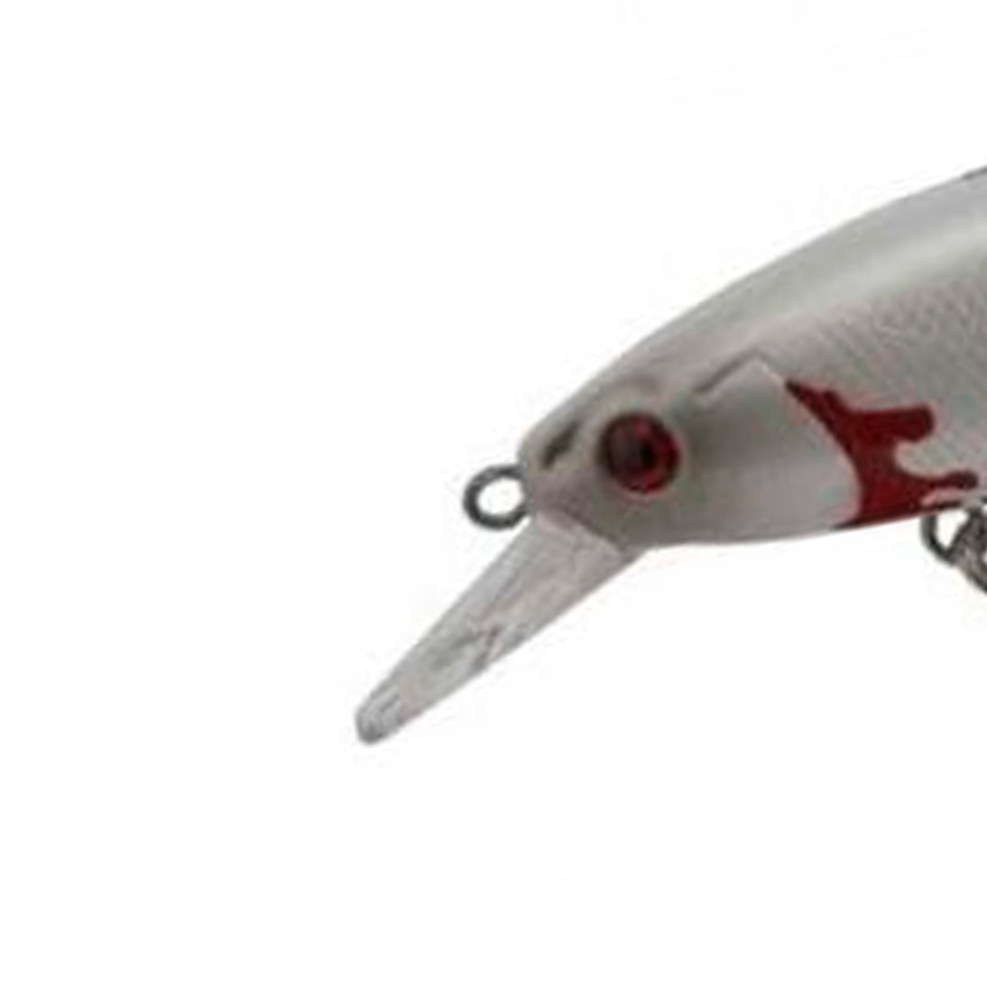 image_a3990f9c-004a-40f0-bfdc-889bf2e5d7c6