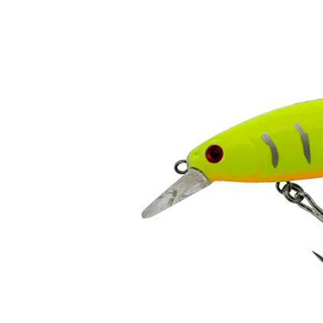 image_e243847b-66d0-4a79-be0f-0e98d61bb16b