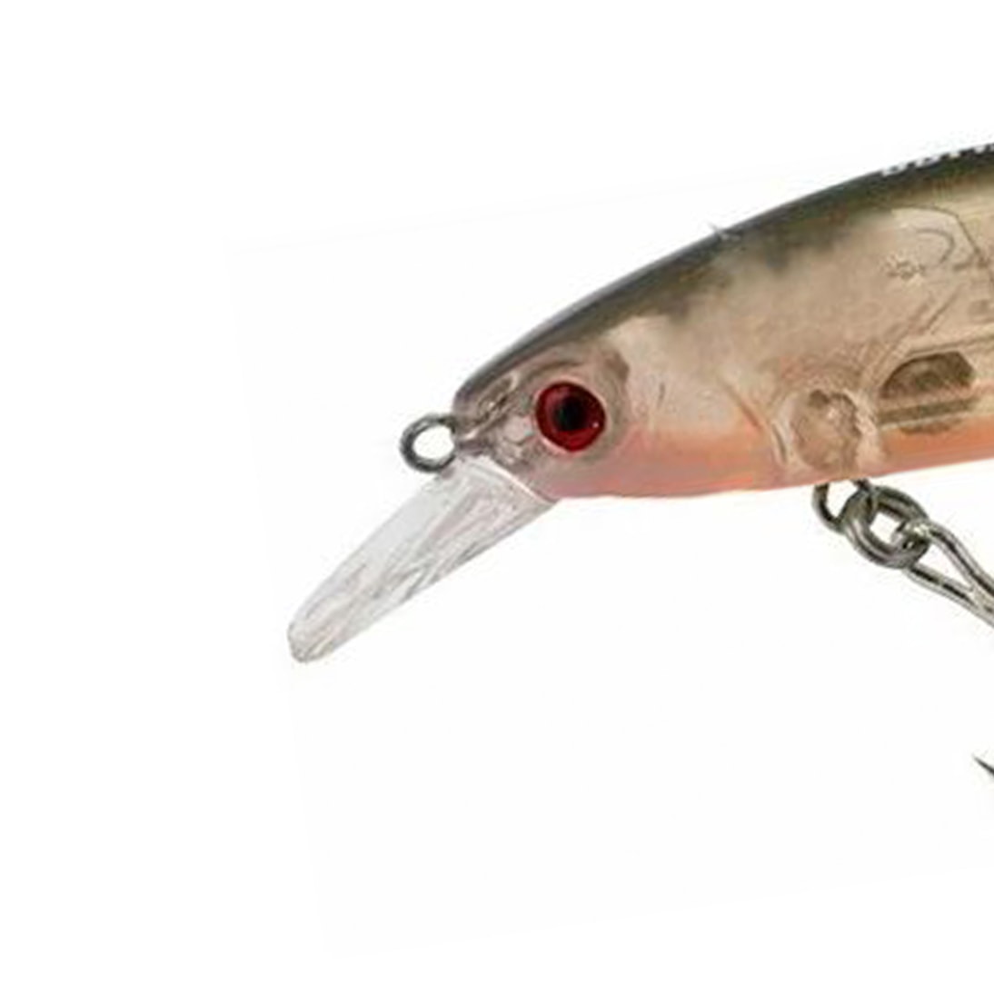 image_2fa6f5e4-c4d8-4291-80a5-8ca005b61004