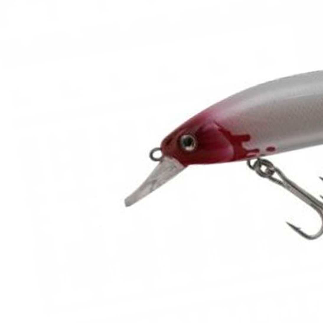 image_9442afce-6c8f-4468-9171-9f3bb31f423a