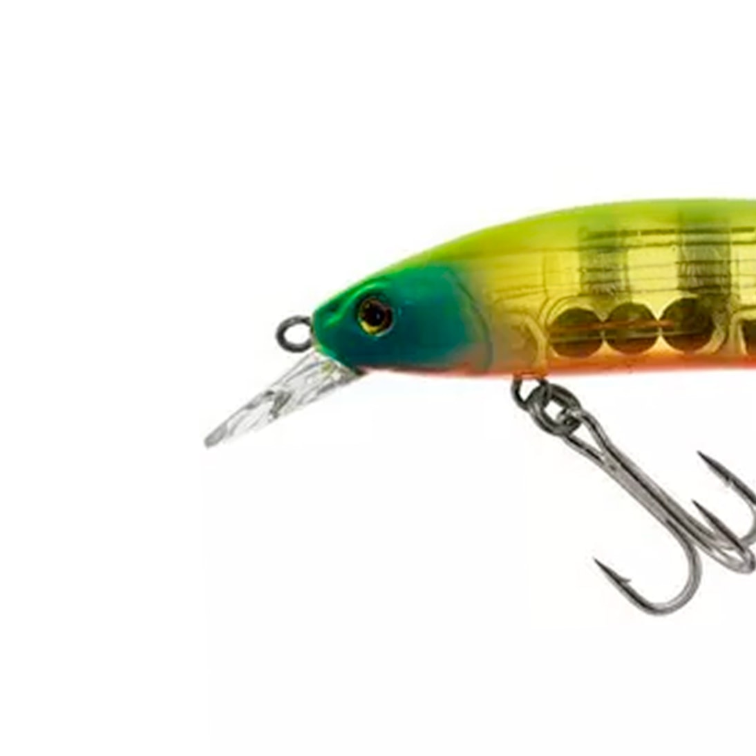 image_ff6be676-d01a-4e57-9e50-e2de6e148b97