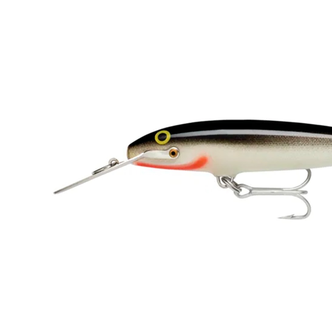 image_840f2260-38da-4471-b300-9261a2fe9d2f