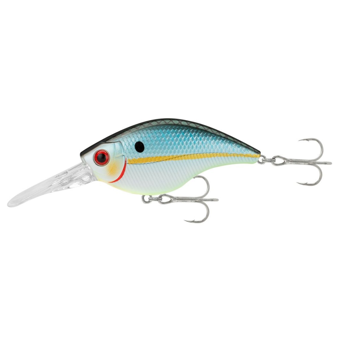 image_7a48192a-6dcf-4b4d-8a00-91217023ed4c